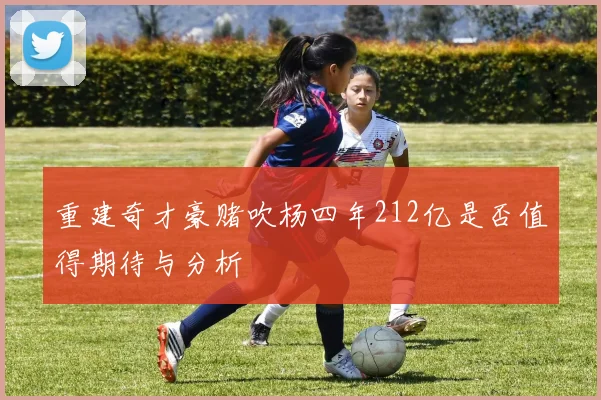 重建奇才豪赌吹杨四年212亿是否值得期待与分析